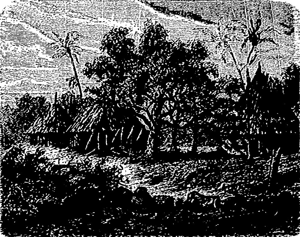 Stanley - Comment j'ai retrouvé Livingstone, trad Loreau, 1884 (page 311 crop)