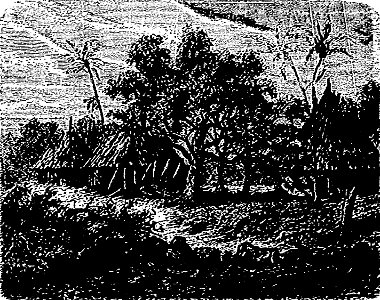 Stanley - Comment j'ai retrouvé Livingstone, trad Loreau, 1884 (page 311 crop)