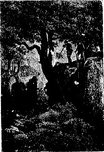 Stanley - Comment j'ai retrouvé Livingstone, trad Loreau, 1884 (page 489 crop)