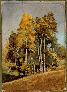 Stanisław Filibert Fleury - Study of trees - M.Ob.1220 MNW - National Museum in Warsaw