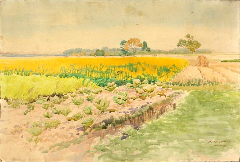 Stanisław Masłowski (1853-1926) Lupin field, watercolor, 1924