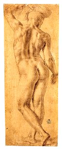 Standing-Nude-Seen-from-the-Rear-ca.-1541–42. Free illustration for personal and commercial use.