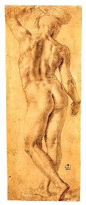Standing-Nude-Seen-from-the-Rear-ca.-1541–42