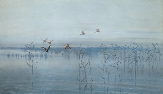 Stanisław Masłowski - Ducks over Swamps - MNK II-a-644 - National Museum Kraków
