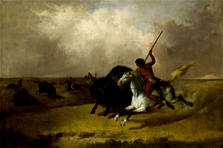 John Mix Stanley - Buffalo Hunt on the Southwestern Prairies - Google Art Project