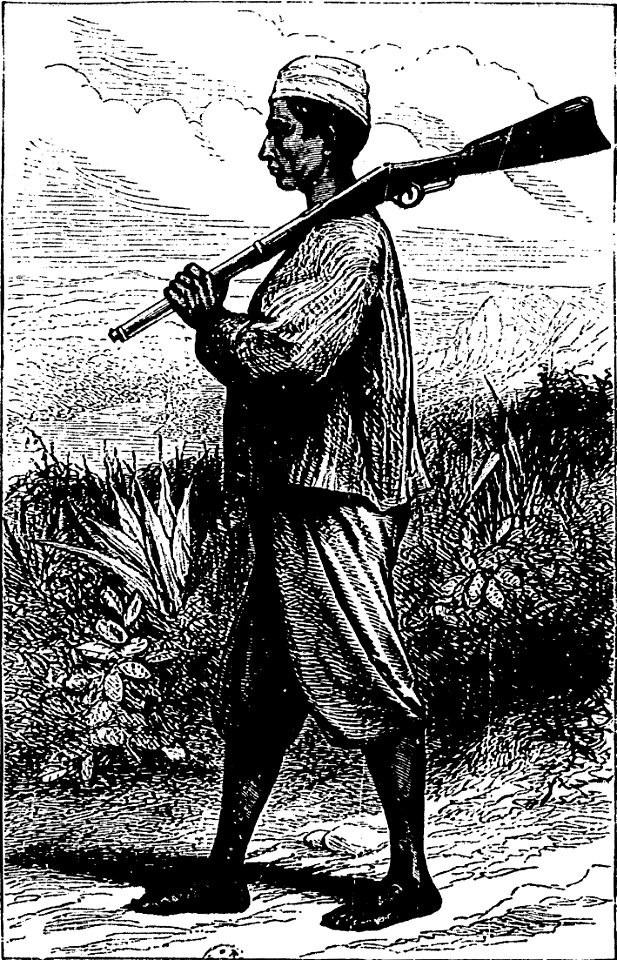 Stanley - Comment j'ai retrouvé Livingstone, trad Loreau, 1884 (page 297 crop)