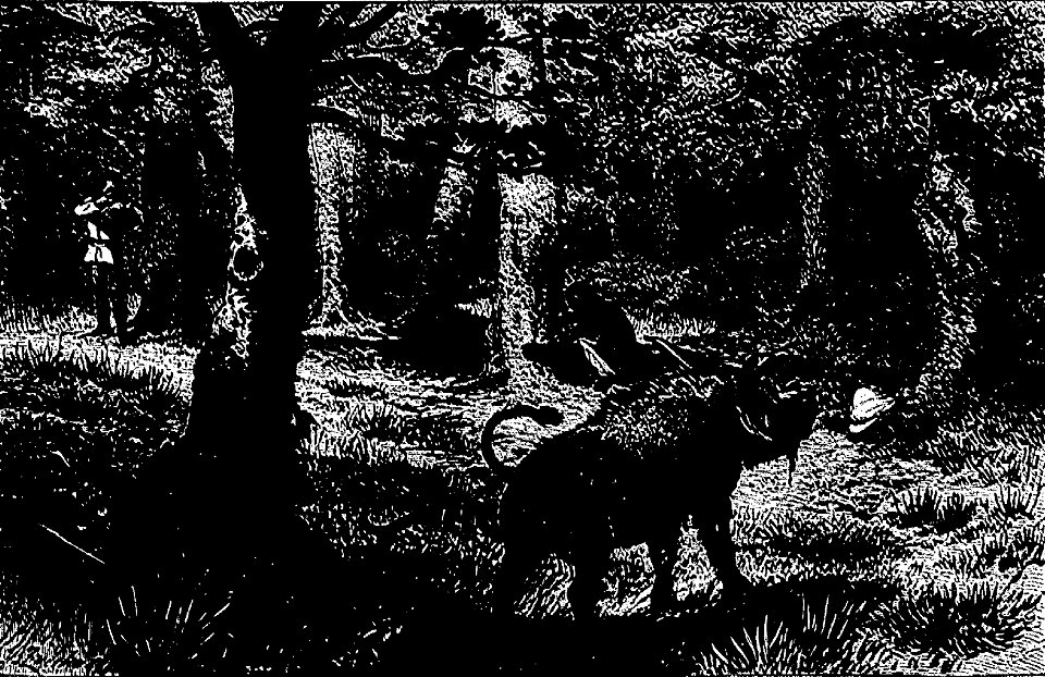Stanley - Comment j'ai retrouvé Livingstone, trad Loreau, 1884 (page 315 crop)