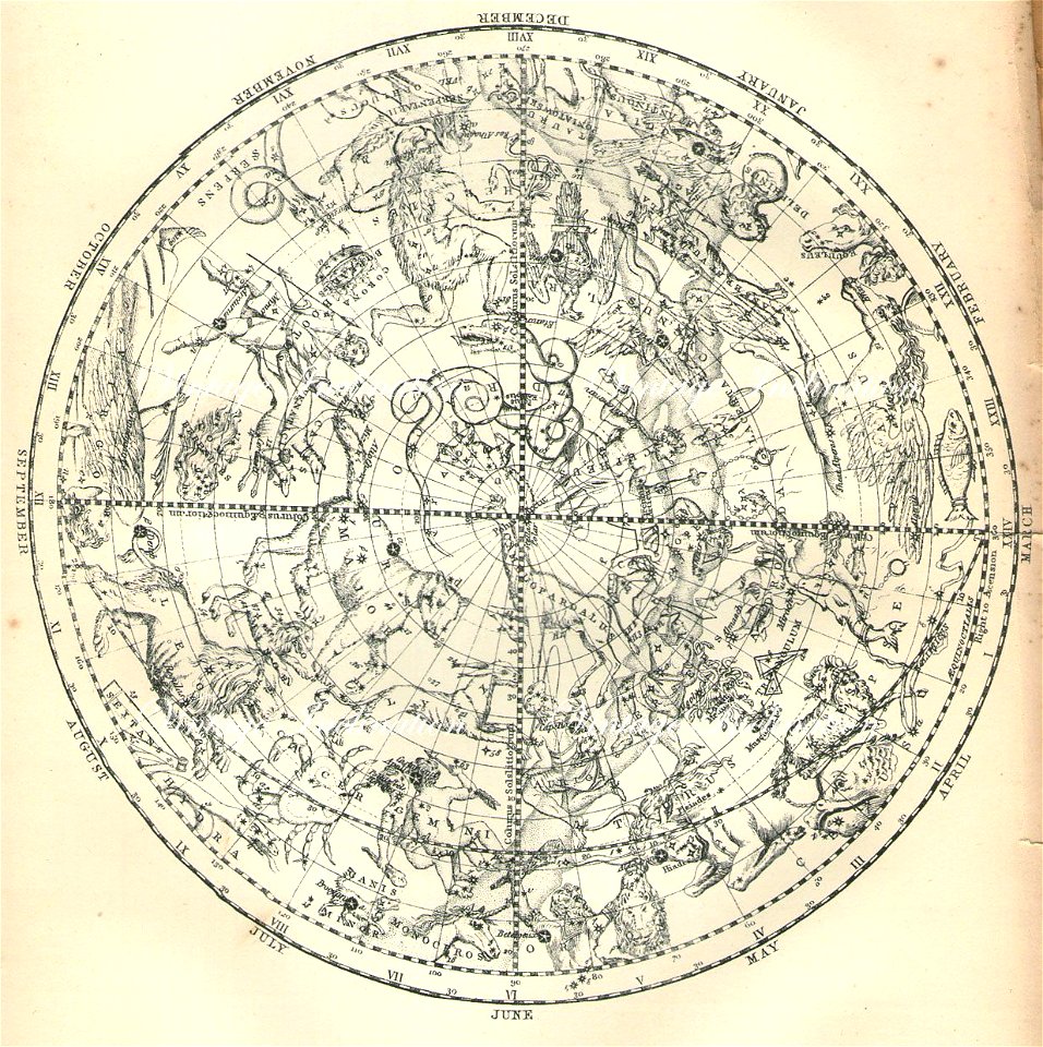 STARS and CONSTELLATIONS Chart North and South Pole Star Map