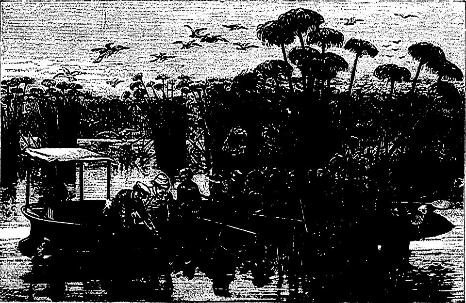 Stanley - Comment j'ai retrouvé Livingstone, trad Loreau, 1884 (page 419 crop)