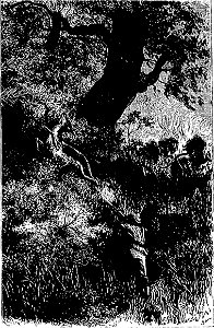 Stanley - Comment j'ai retrouvé Livingstone, trad Loreau, 1884 (page 511 crop)