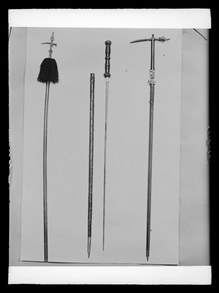 Stav med lönnvärja i form av pansarstickare, Tyskland ca 1600 - Livrustkammaren - 19904