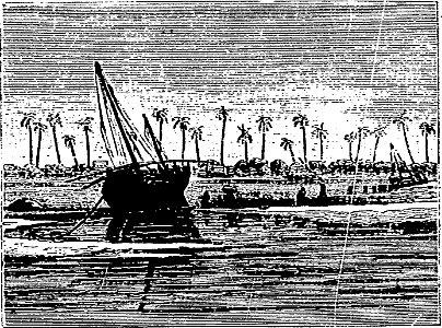 Stanley - Comment j'ai retrouvé Livingstone, trad Loreau, 1884 (page 57 crop)