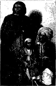 Stanley - Comment j'ai retrouvé Livingstone, trad Loreau, 1884 (page 25 crop)