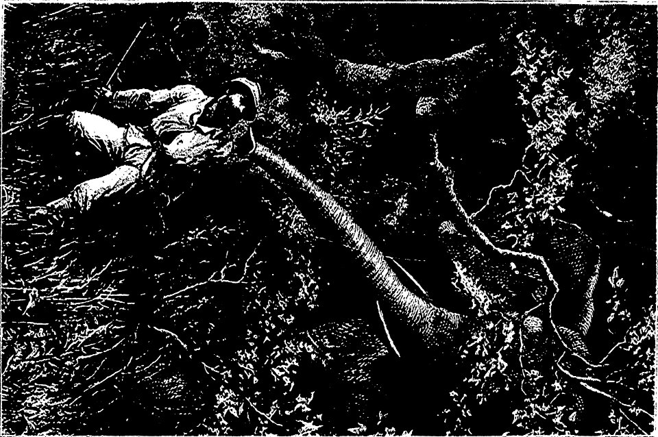 Stanley - Comment j'ai retrouvé Livingstone, trad Loreau, 1884 (page 493 crop)