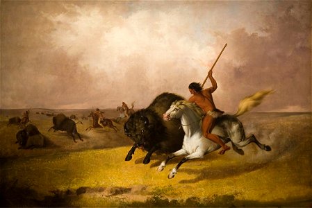 'Buffalo Hunt on the Southwestern Prairies', oil on canvas painting by John Mix Stanley, 1845, Smithsonian American Art Museum (Washington D. C.). Free illustration for personal and commercial use.