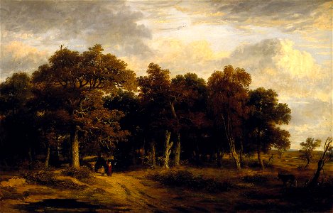 Stark, Woody Landscape