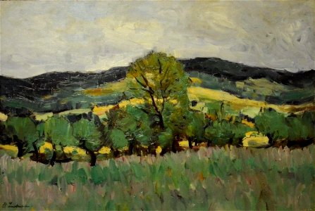 Stefan Luchian - In Valea Hanganilor