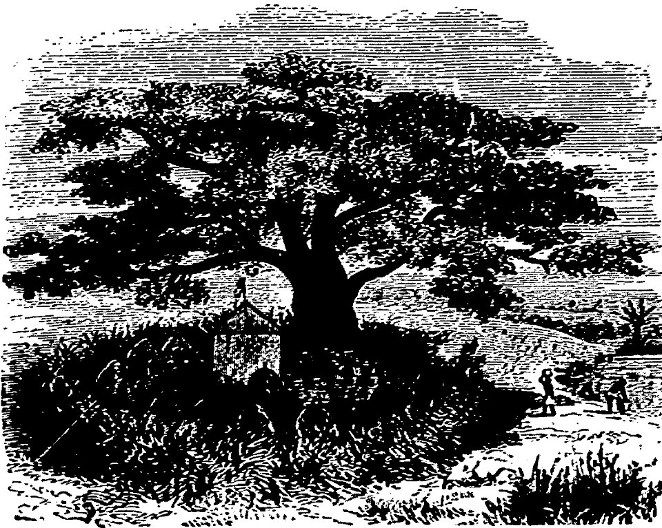 Stanley - Comment j'ai retrouvé Livingstone, trad Loreau, 1884 (page 275 crop)