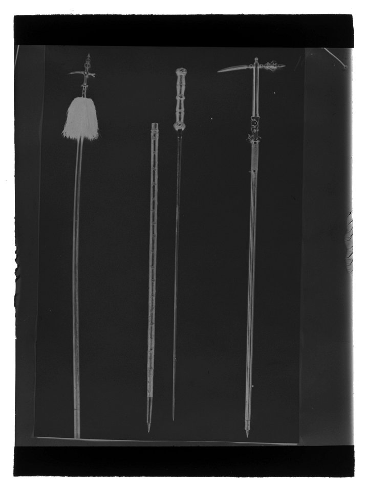 Stav med lönnvärja i form av pansarstickare, Tyskland ca 1600 - Livrustkammaren - 19904-negative