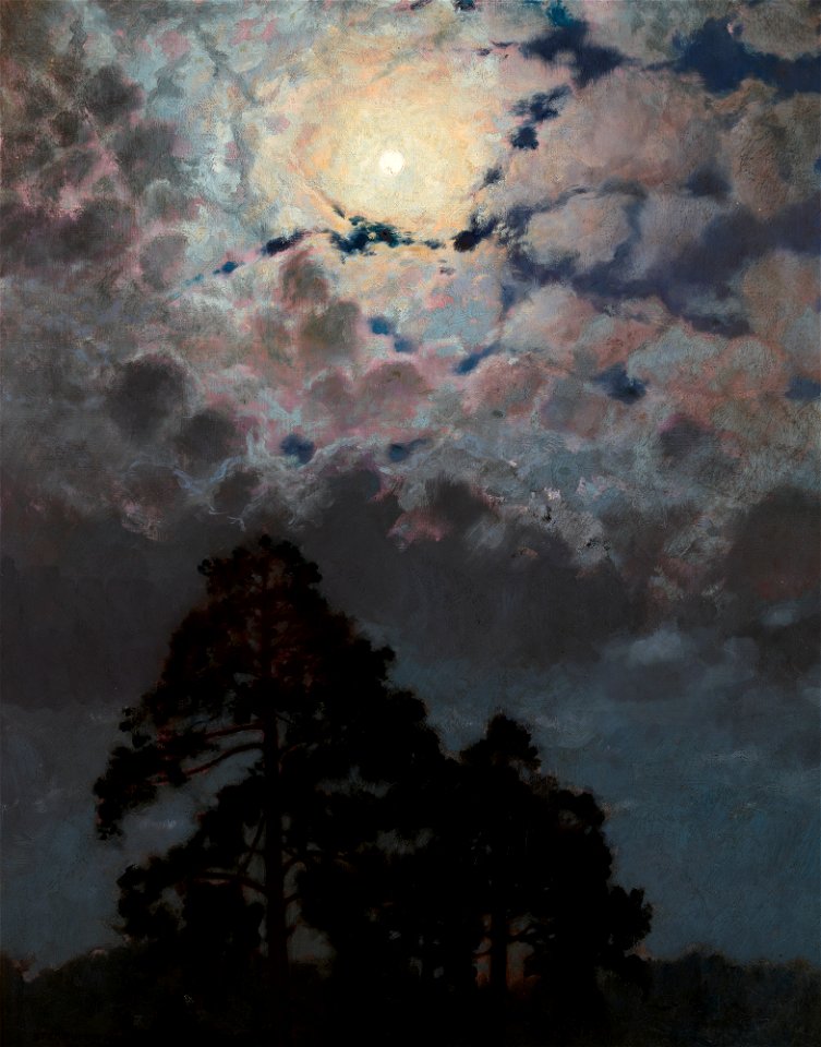 Stefan Popowski - Pines - MNK II-a-437 - National Museum Kraków