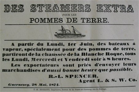 Steamers pommes de terre Guernsesey 1874