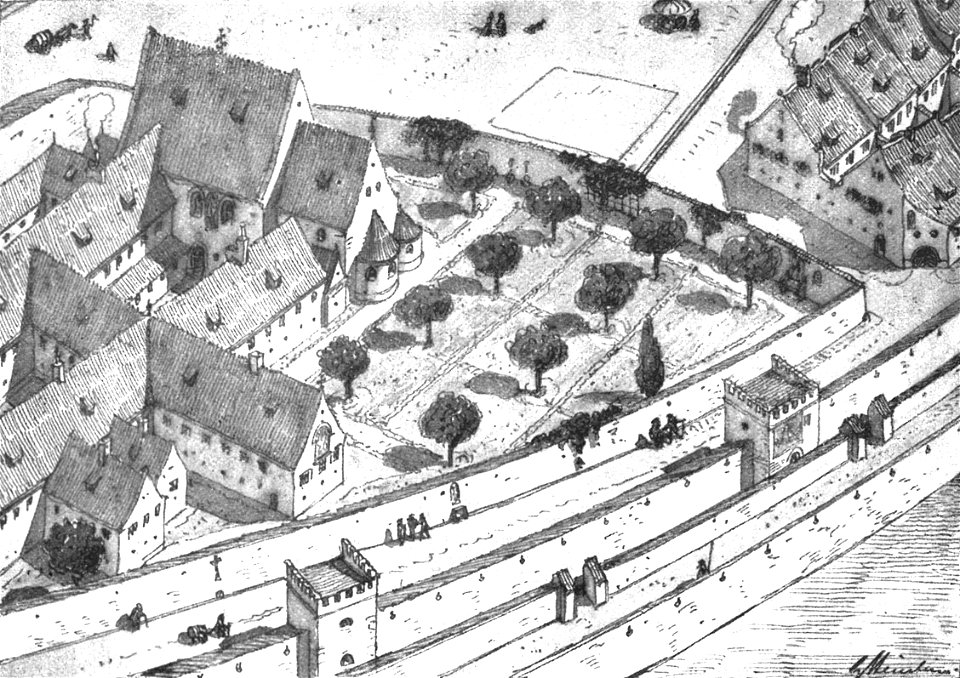 Steinlein 43