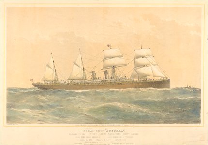 Steam ship Austral belonging to the Orient Steam Navigation Compy. Limited RMG PY5294. Free illustration for personal and commercial use.