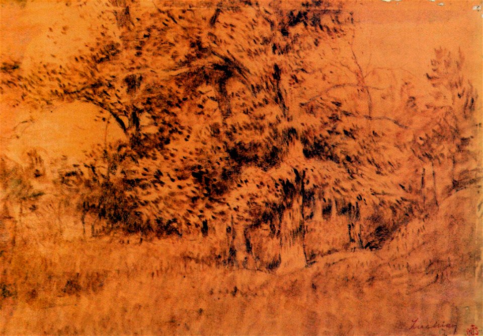 Stefan Luchian - Colt de padure