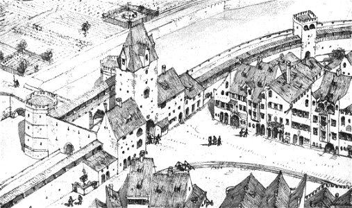 Steinlein 31a