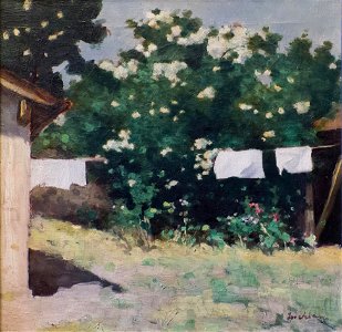 Stefan Luchian - In fundul curtii