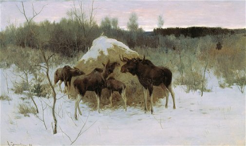 Stepanov 008