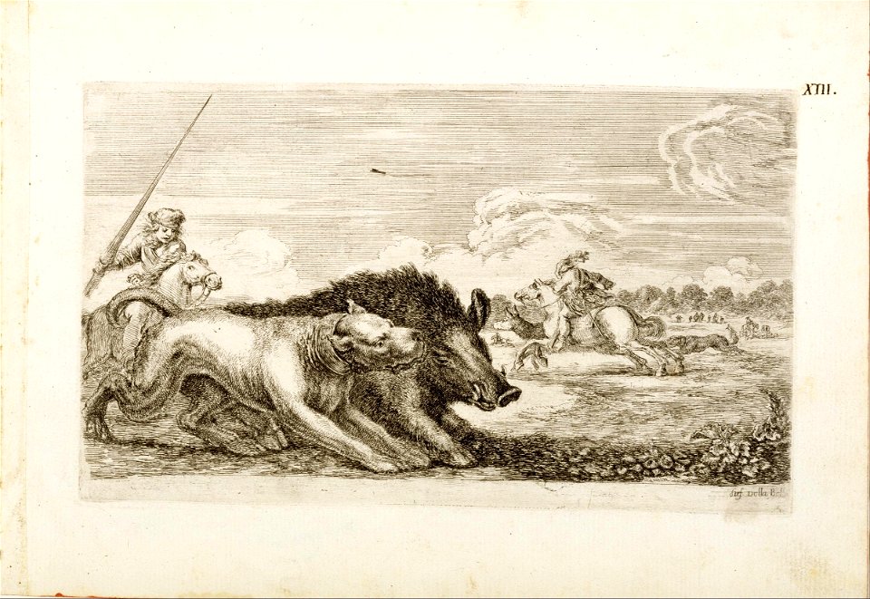Stefano Della Bella - Il cinghiale si dirige verso destra (The wild boar heads toward the right) - Google Art Project
