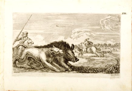 Stefano Della Bella - Il cinghiale si dirige verso destra (The wild boar heads toward the right) - Google Art Project
