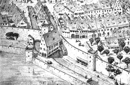 Steinlein 56