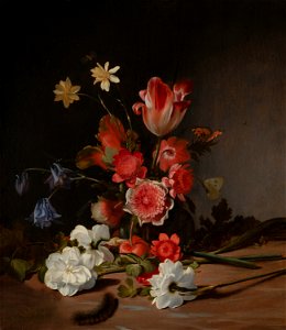 Still Life with a Bouquet in the Making by Dirck de Bray Mauritshuis 1166