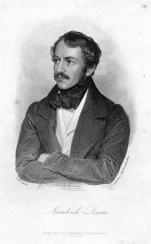 Stich Nikolaus Lenau von Mahlknecht nach Staub