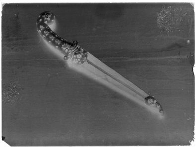 Stickvapen - Livrustkammaren - 8636-negative