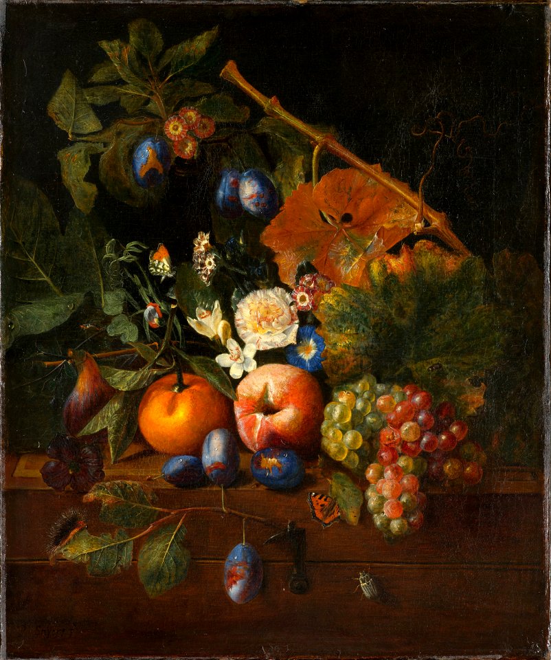 Still Life with Fruits - Peeter Snyers (Snijers) - Google Cultural Institute