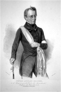 Stephan Ladislaus Endlicher Litho