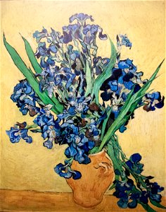 Still Life - Vase with Irises against a yellow background (JH 1977) - My Dream