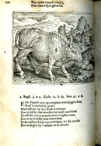 Stier ende muus (BM 1868,0612.187)
