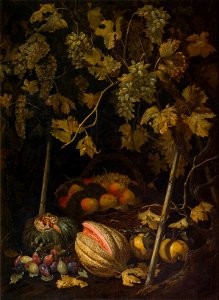 Still Life with Fruit and Vine (Pietro Paolo Bonzi) - Nationalmuseum - 17345