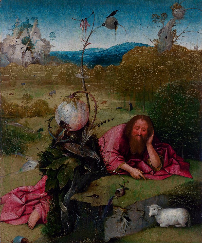 StJohnWildernessBosch