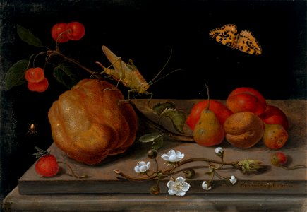 Still life with fruit, a grasshopper and a butterfly, by Maria Sibylla Merian. Free illustration for personal and commercial use.