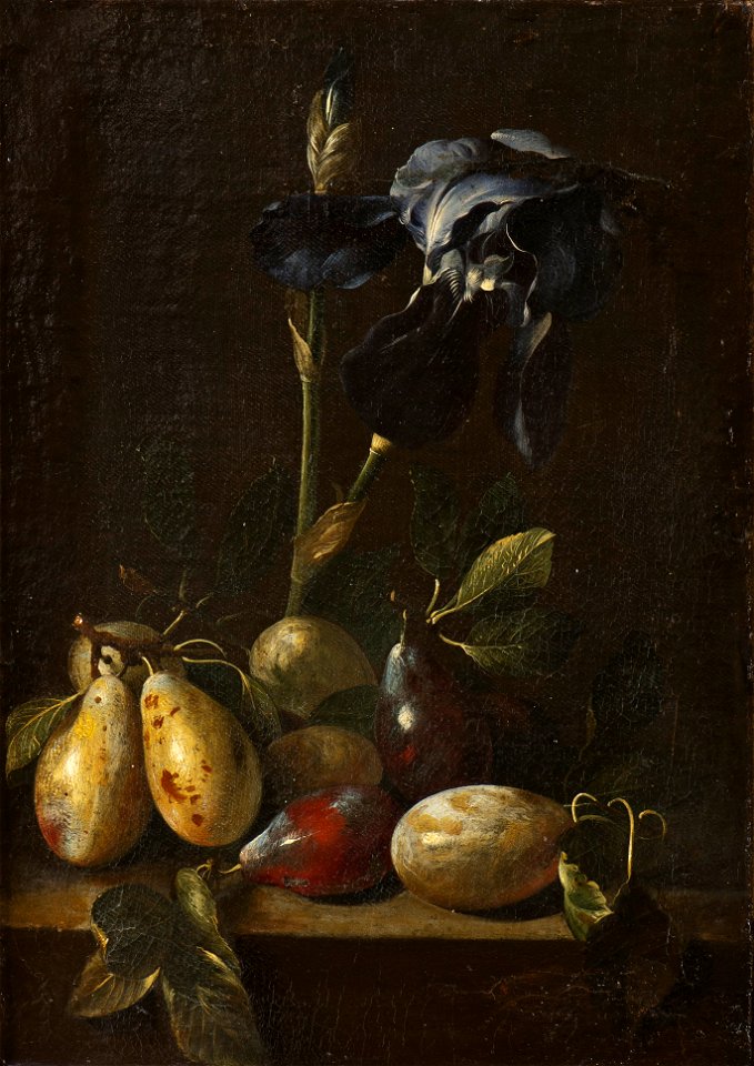 Still Life with an Iris and Plums (Pietro Paolo Bonzi) - Nationalmuseum - 17190