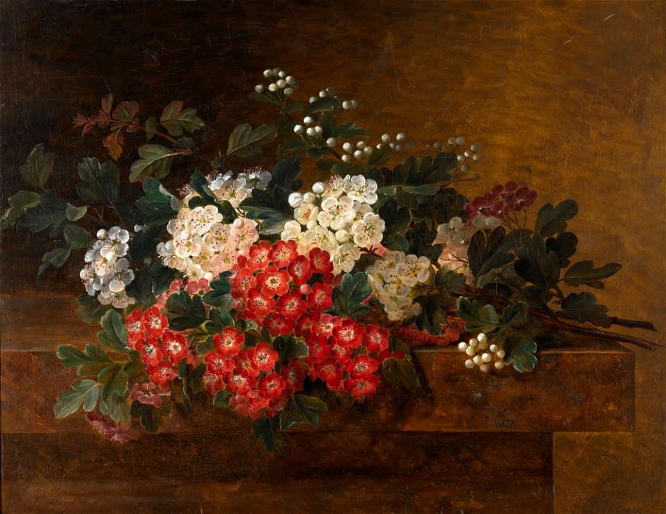 Still Life with Hawthorn Blossom 