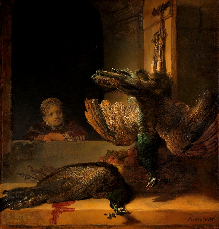 Stilleven met pauwen Rijksmuseum SK-A-3981