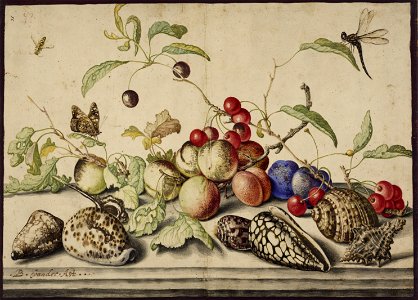Still-life-1628