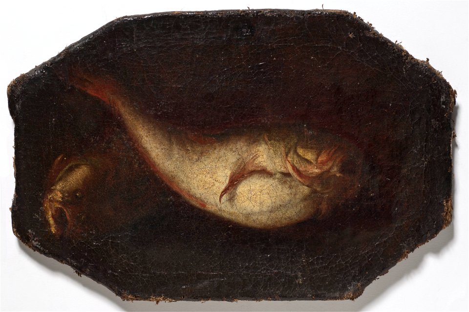 Still Life with Two fishes (Domenico Grosso) - Nationalmuseum - 17763