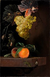 Still Life with Fruit, Lizard and Insects (Ottmar Elliger) - Nationalmuseum - 17956